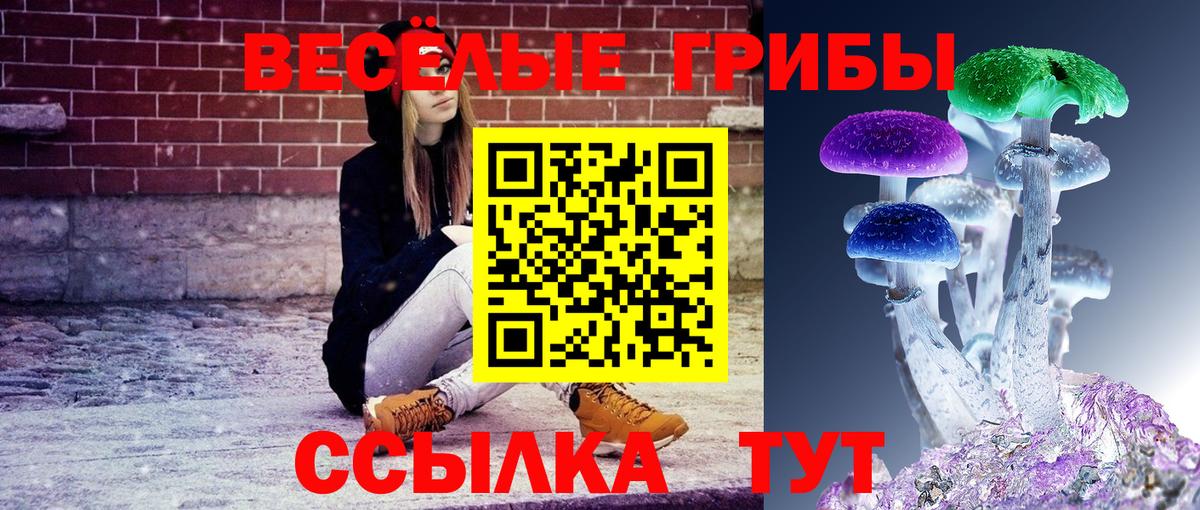 Галлюциногенные грибы MAGIC MUSHROOMS  Вход с VPN  Псилоцибиновые грибы Psilocybe  Георгиевск 